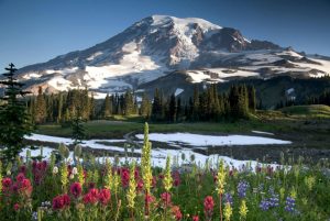 Olympic National Park