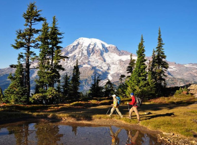 walking /hiking